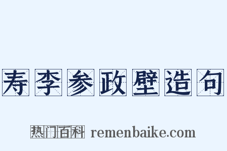 寿李参政壁造句是什么意思的图片